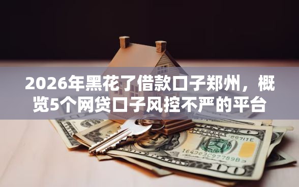2026年黑花了借款口子郑州，概览5个网贷口子风控不严的平台