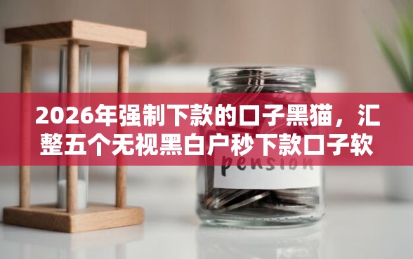 2026年强制下款的口子黑猫，汇整五个无视黑白户秒下款口子软件