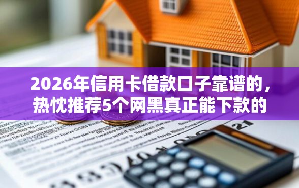 2026年信用卡借款口子靠谱的，热忱推荐5个网黑真正能下款的软件