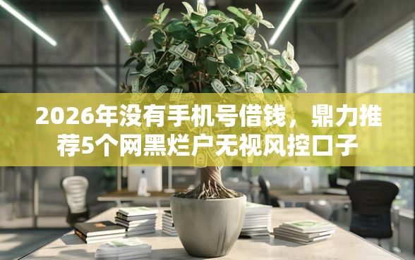 2026年没有手机号借钱，鼎力推荐5个网黑烂户无视风控口子