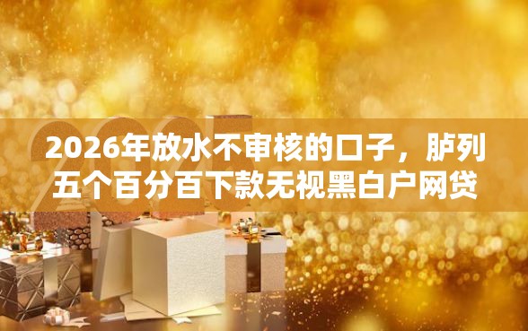 2026年放水不审核的口子，胪列五个百分百下款无视黑白户网贷软件