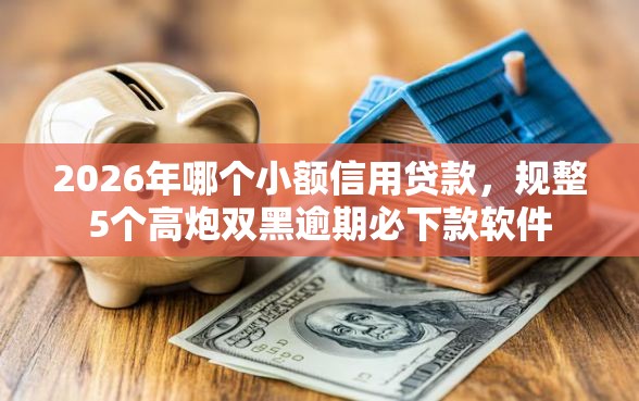 2026年哪个小额信用贷款，规整5个高炮双黑逾期必下款软件