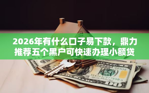 2026年有什么口子易下款，鼎力推荐五个黑户可快速办理小额贷款业务的平台