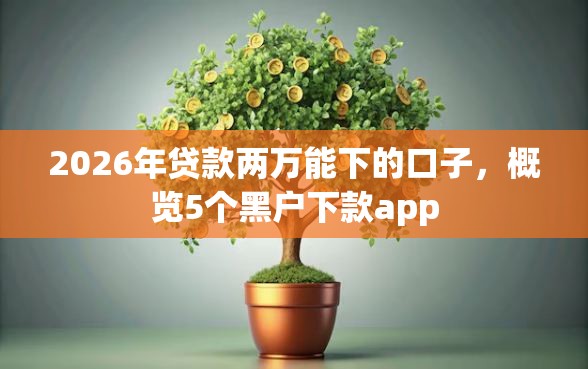 2026年贷款两万能下的口子，概览5个黑户下款app