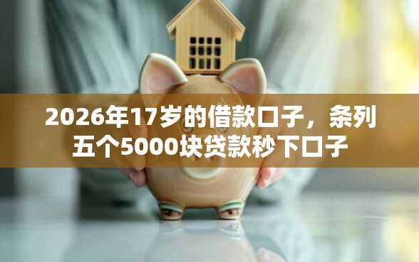 2026年17岁的借款口子，条列五个5000块贷款秒下口子