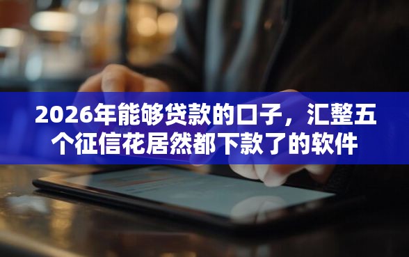 2026年能够贷款的口子，汇整五个征信花居然都下款了的软件