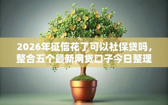 2026年征信花了可以社保贷吗，整合五个最新网贷口子今日整理这五个平台