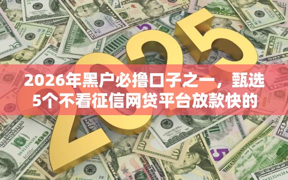 2026年黑户必撸口子之一，甄选5个不看征信网贷平台放款快的口子