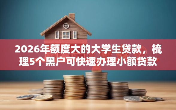 2026年额度大的大学生贷款，梳理5个黑户可快速办理小额贷款业务的软件