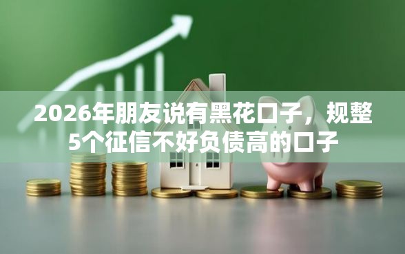 2026年朋友说有黑花口子，规整5个征信不好负债高的口子