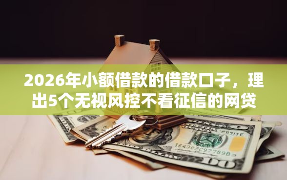 2026年小额借款的借款口子，理出5个无视风控不看征信的网贷