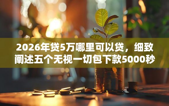 2026年贷5万哪里可以贷，细致阐述五个无视一切包下款5000秒下款的平台