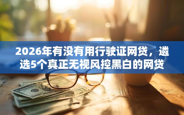 2026年有没有用行驶证网贷，遴选5个真正无视风控黑白的网贷平台