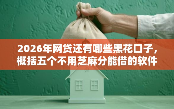 2026年网贷还有哪些黑花口子，概括五个不用芝麻分能借的软件