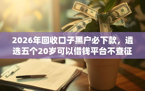 2026年回收口子黑户必下款，遴选五个20岁可以借钱平台不查征信的app