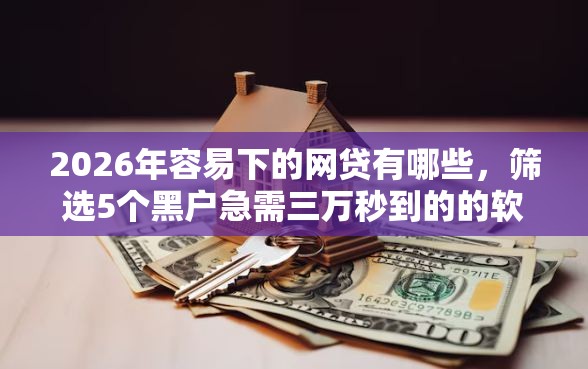 2026年容易下的网贷有哪些，筛选5个黑户急需三万秒到的的软件