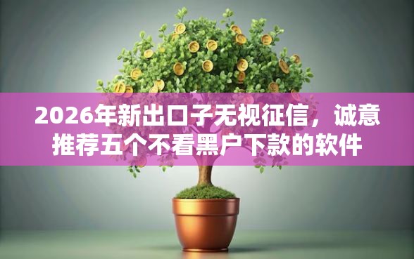 2026年新出口子无视征信，诚意推荐五个不看黑户下款的软件