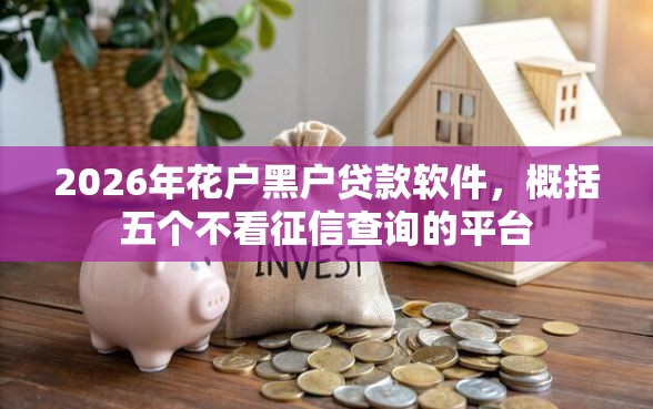 2026年花户黑户贷款软件，概括五个不看征信查询的平台