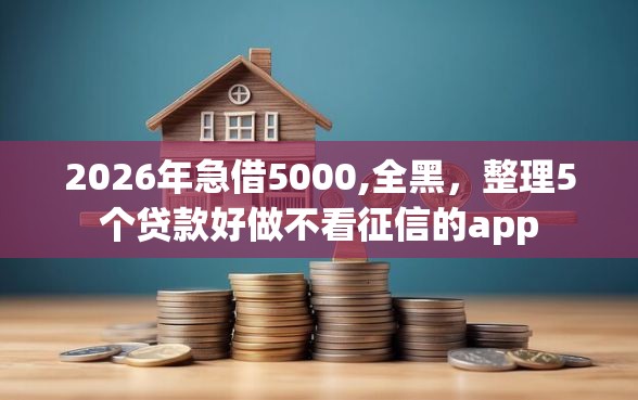 2026年急借5000,全黑，整理5个贷款好做不看征信的app