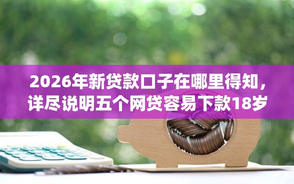 2026年新贷款口子在哪里得知，详尽说明五个网贷容易下款18岁的app