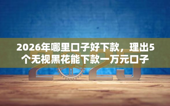 2026年哪里口子好下款，理出5个无视黑花能下款一万元口子