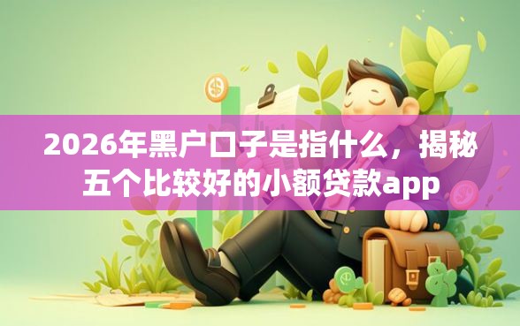 2026年黑户口子是指什么，揭秘五个比较好的小额贷款app