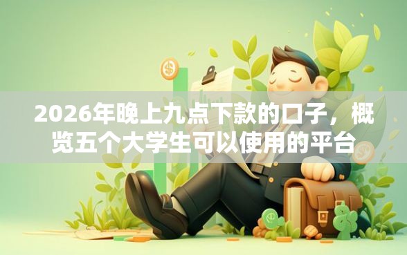 2026年晚上九点下款的口子，概览五个大学生可以使用的平台