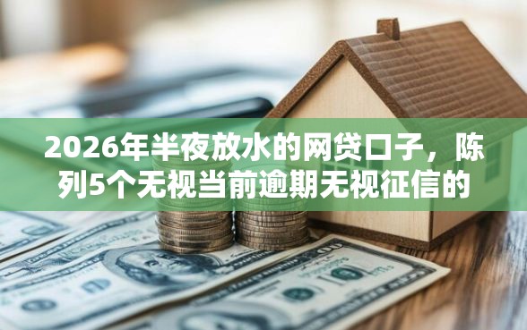2026年半夜放水的网贷口子,陈列5个无视当前逾期无视征信的借款口子 2026年半夜放水的网贷口子,陈列5个无视当前逾期无视征信的借款口子