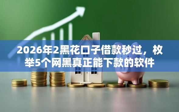 2026年2黑花口子借款秒过，枚举5个网黑真正能下款的软件