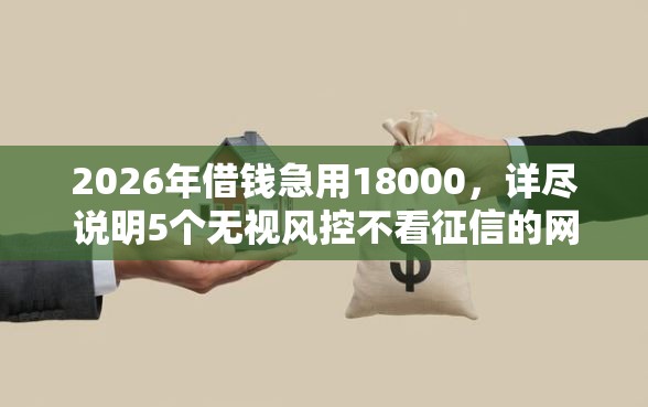 2026年借钱急用18000，详尽说明5个无视风控不看征信的网贷