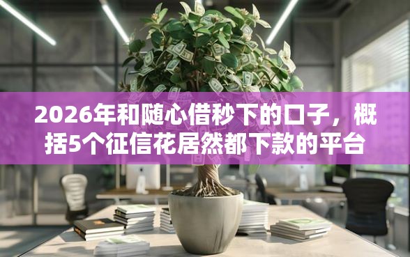 2026年和随心借秒下的口子，概括5个征信花居然都下款的平台