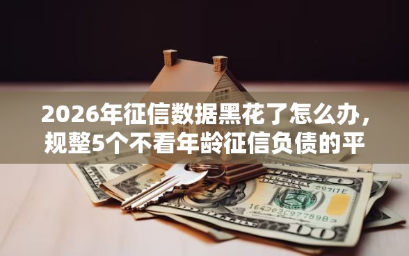 2026年征信数据黑花了怎么办，规整5个不看年龄征信负债的平台