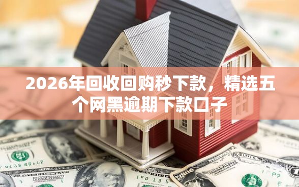 2026年回收回购秒下款，精选五个网黑逾期下款口子