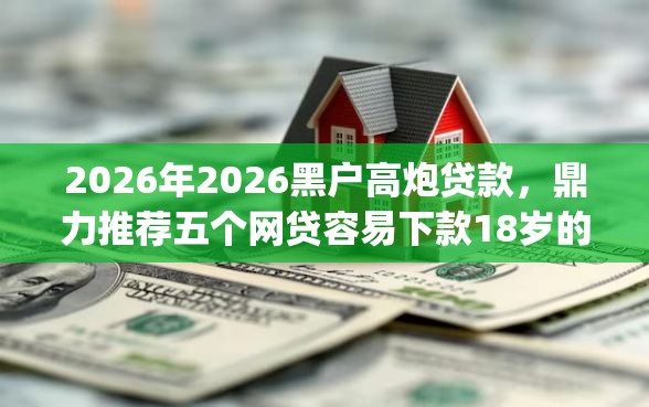 2026年2026黑户高炮贷款，鼎力推荐五个网贷容易下款18岁的app