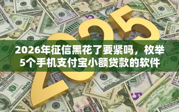 2026年征信黑花了要紧吗，枚举5个手机支付宝小额贷款的软件