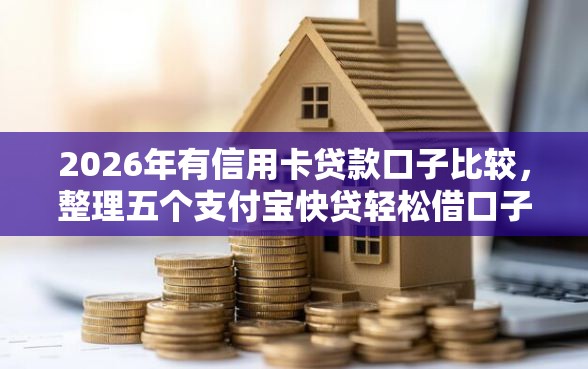 2026年有信用卡贷款口子比较，整理五个支付宝快贷轻松借口子