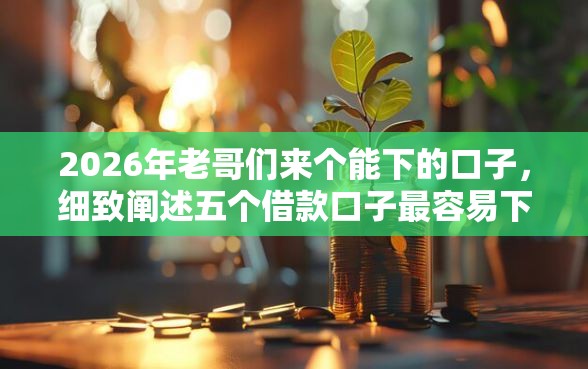2026年老哥们来个能下的口子，细致阐述五个借款口子最容易下软件