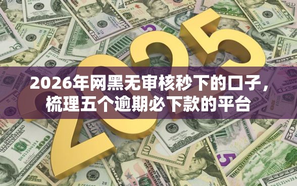 2026年网黑无审核秒下的口子，梳理五个逾期必下款的平台