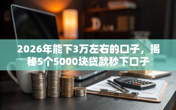 2026年能下3万左右的口子，揭秘5个5000块贷款秒下口子