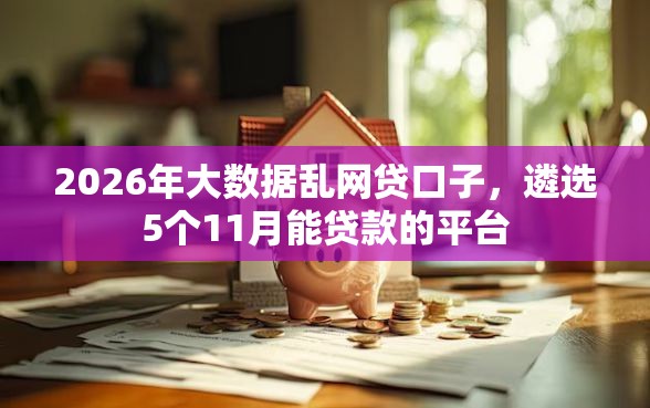 2026年大数据乱网贷口子，遴选5个11月能贷款的平台