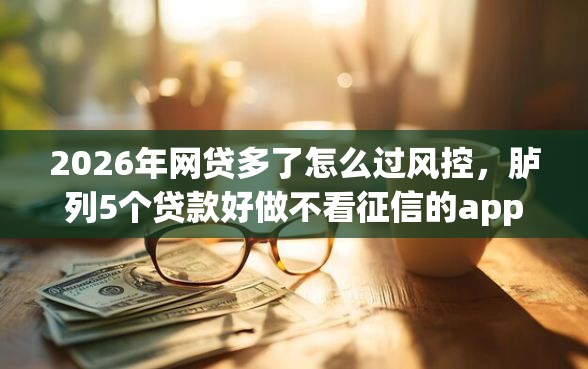 2026年网贷多了怎么过风控，胪列5个贷款好做不看征信的app