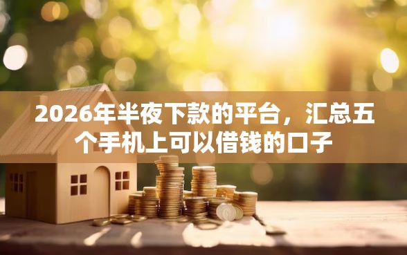 2026年半夜下款的平台，汇总五个手机上可以借钱的口子