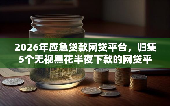 2026年应急贷款网贷平台，归集5个无视黑花半夜下款的网贷平台