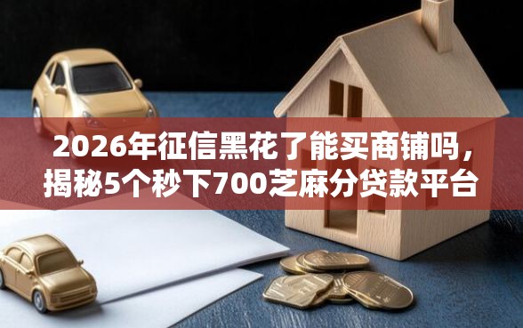 2026年征信黑花了能买商铺吗，揭秘5个秒下700芝麻分贷款平台