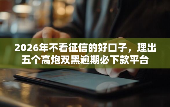 2026年不看征信的好口子，理出五个高炮双黑逾期必下款平台