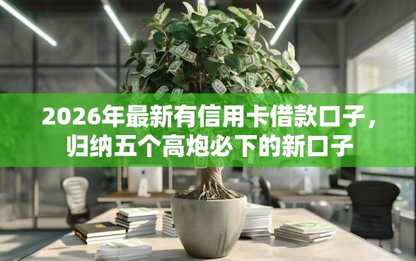 2026年最新有信用卡借款口子，归纳五个高炮必下的新口子