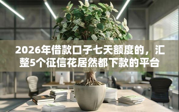 2026年借款口子七天额度的，汇整5个征信花居然都下款的平台