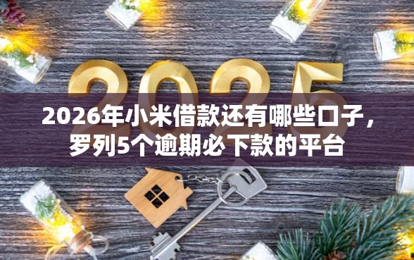2026年小米借款还有哪些口子，罗列5个逾期必下款的平台