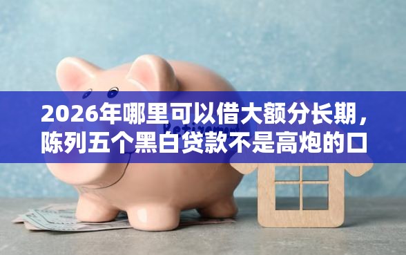 2026年哪里可以借大额分长期，陈列五个黑白贷款不是高炮的口子