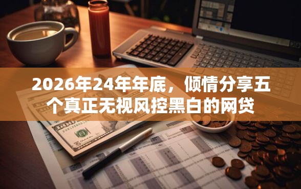 2026年24年年底，倾情分享五个真正无视风控黑白的网贷